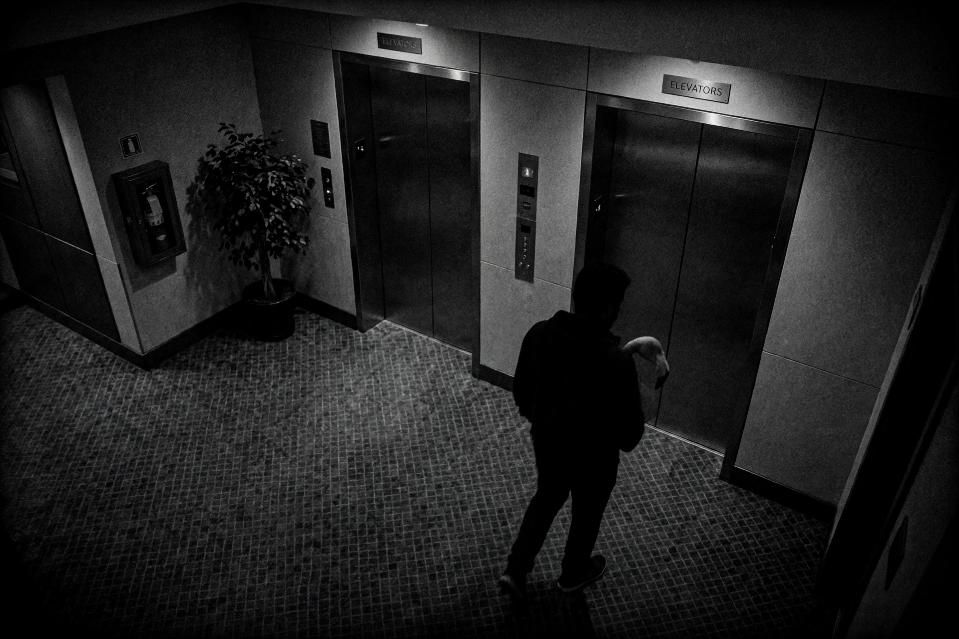 Security camera style view of a man carrying a flamingo through a hotel elevator lobby